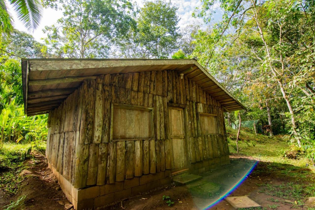 Los Chocuacos. Guácimo Exteriör bild