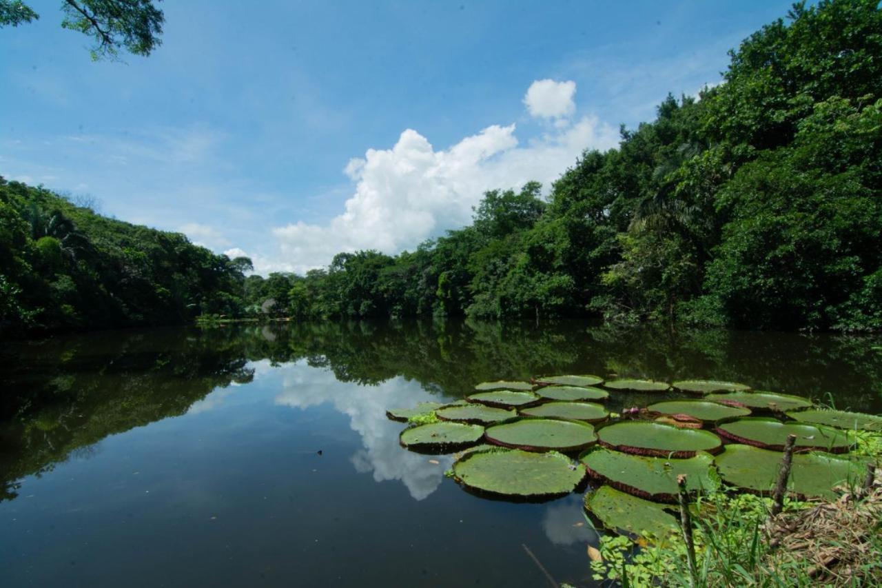 Los Chocuacos. Guácimo Exteriör bild