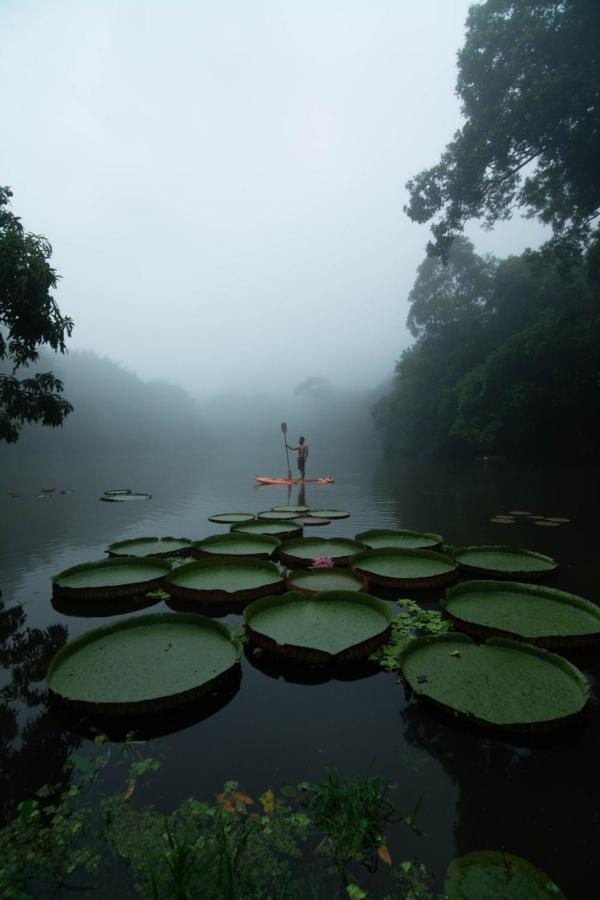 Los Chocuacos. Guácimo Exteriör bild