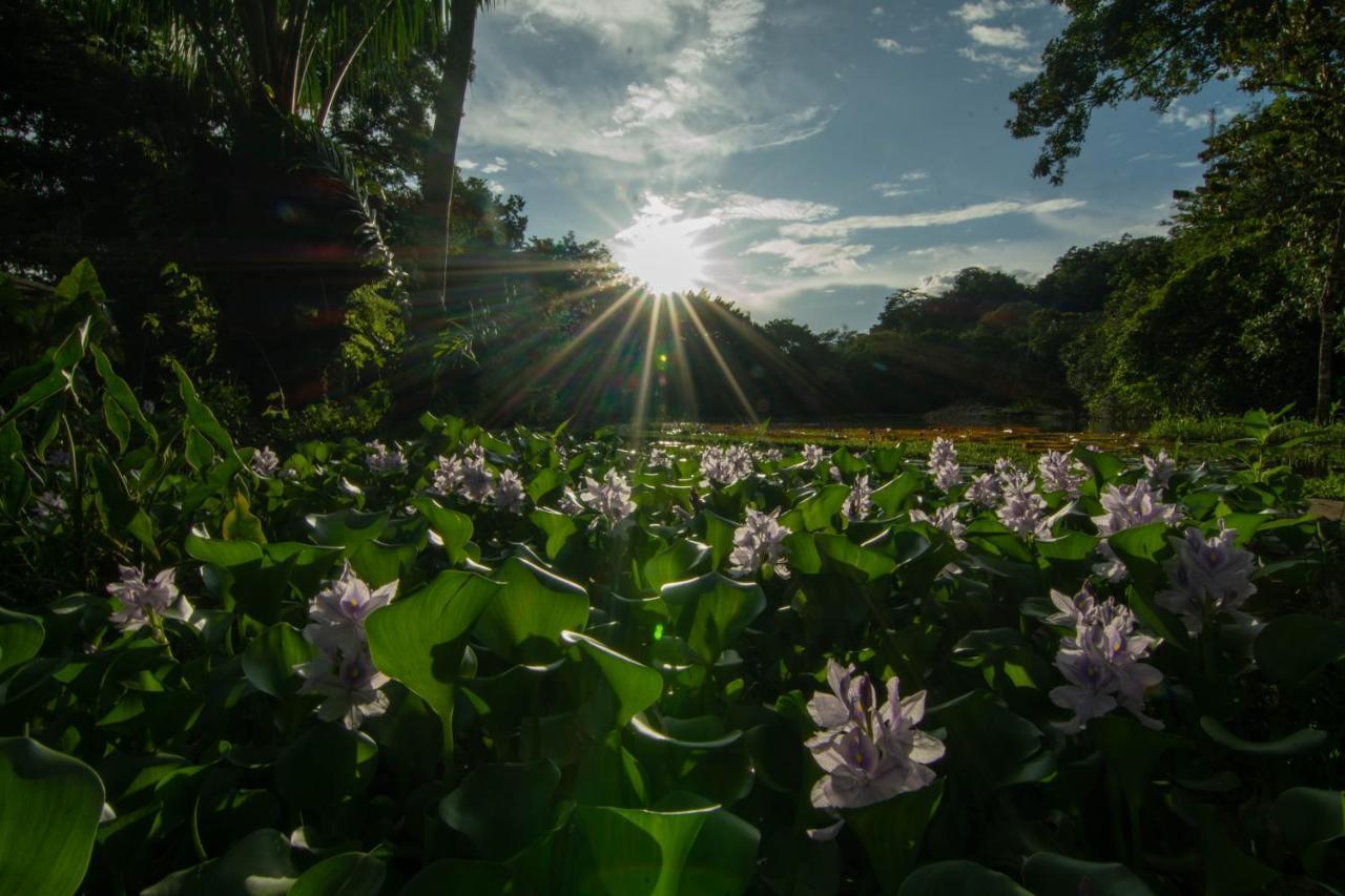 Los Chocuacos. Guácimo Exteriör bild